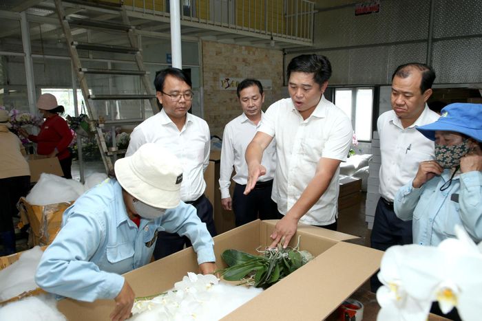 Phó Bí thư Thường trực Tỉnh ủy Lâm Đồng (đeo kính) tham quan quy trình đóng gói hoa lan của Công ty TNHH Nông nghiệp Công nghệ cao Yến Sang Anh
