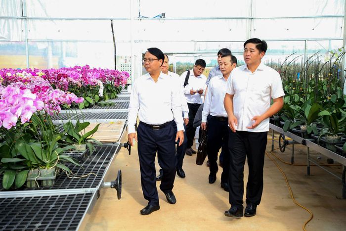 Phó Bí thư Thường trực Tỉnh ủy Lâm Đồng (đi đầu bên trái) tham quan mô hình trồng hoa lan công nghệ cao của Công ty TNHH Nông nghiệp Công nghệ cao Yến Sang Anh