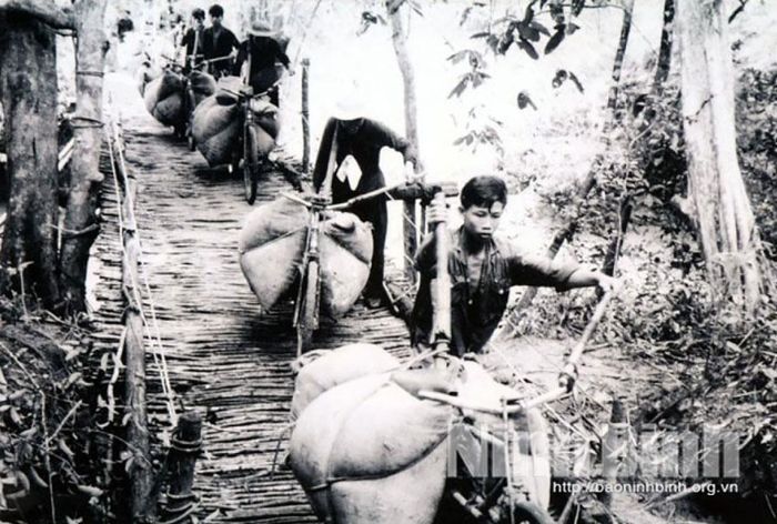 Ảnh tư liệu.