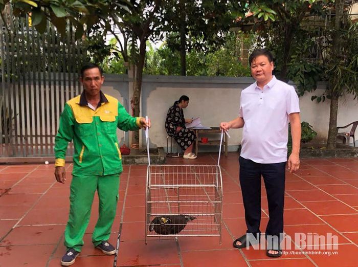 Ông Trương Văn Hinh (bên trái) giao nộp cá thể Diều hoa Miến Điện cho đại diện xã Trần Thương.