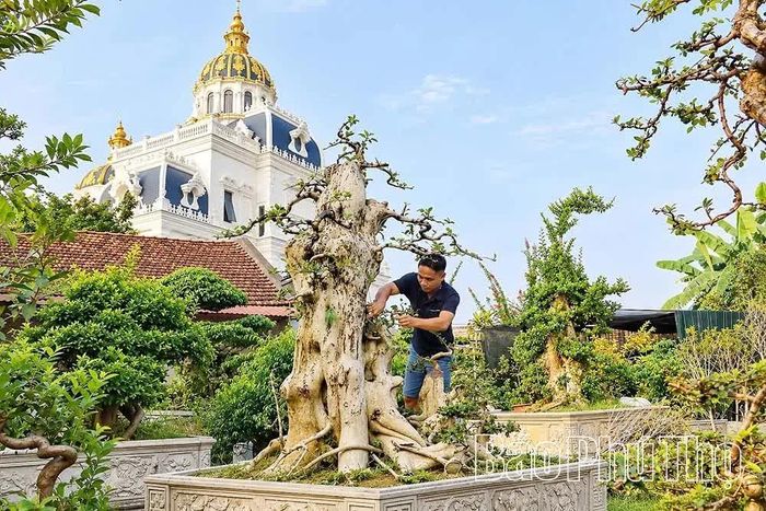 Từ niềm đam mê ban đầu, nhiều gia đình đã tìm thấy cơ hội phát triển kinh tế.