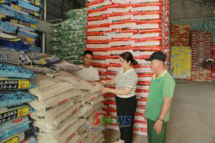 Nông dân lựa chọn sản phẩm tại cửa hàng kinh doanh vật tư nông nghiệp phường Thảo Nguyên.