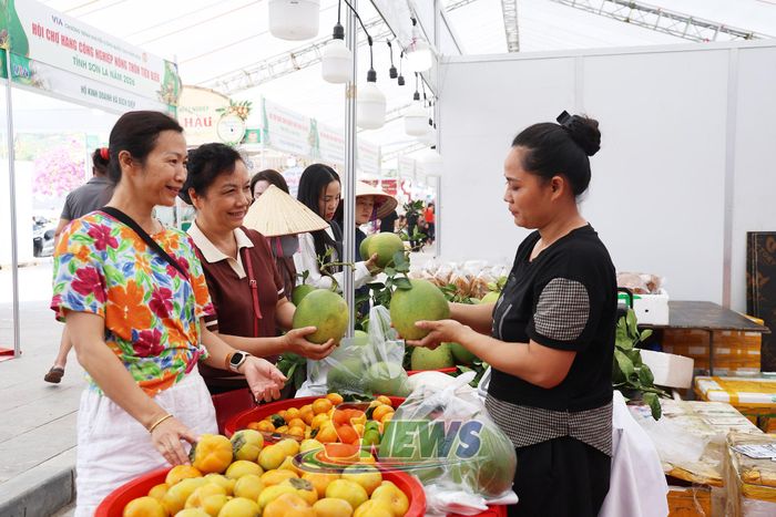 Gian hàng trưng bày các loại trái cây tươi.