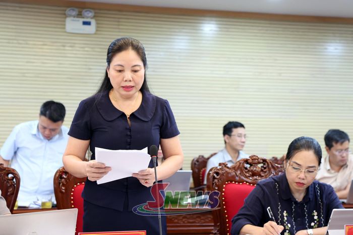 Lãnh đạo Ban Dân tộc phát biểu ý kiến tại phiên họp