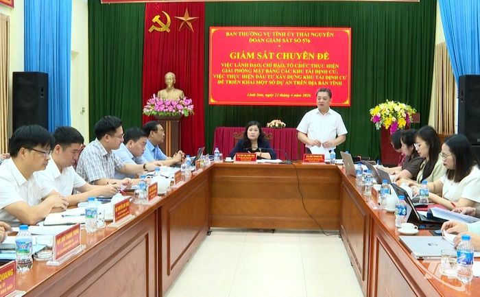 Đoàn giám sát số 576 của Ban Thường vụ Tỉnh ủy giám sát chuyên đề tại phường Linh Sơn.