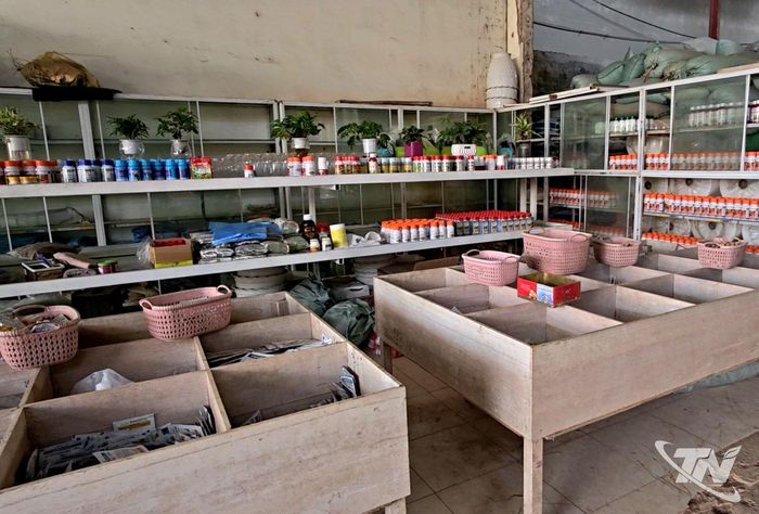 Thuốc bảo vệ thực vật phải được bày trên tủ, gọn gàng, dễ lấy.