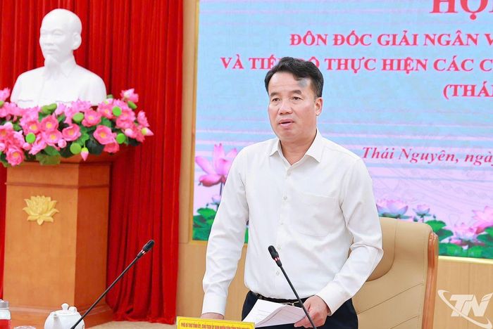 Đồng chí Chủ tịch UBND tỉnh Nguyễn Thế Mạnh phát biểu kết luận.