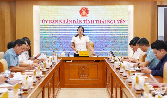 Đồng chí Phó Chủ tịch UBND tỉnh Nguyễn Thị Loan chủ trì cuộc họp.