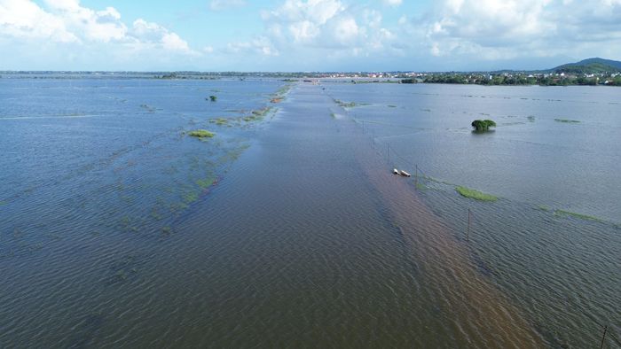Lãnh đạo Ban QLDA Đầu tư xây dựng Nam Sông Hương nhấn mạnh, thời gian này, yêu cầu nhà thầu tập trung thi công ở các đoạn nền đường cao. Qua hết mùa mưa sẽ chỉ đạo nhà thầu tập trung thi công, đẩy nhanh tiến độ, nâng cao nền móng mặt đường để bù tiến độ chậm và hoàn thành dự án theo hợp đồng.
