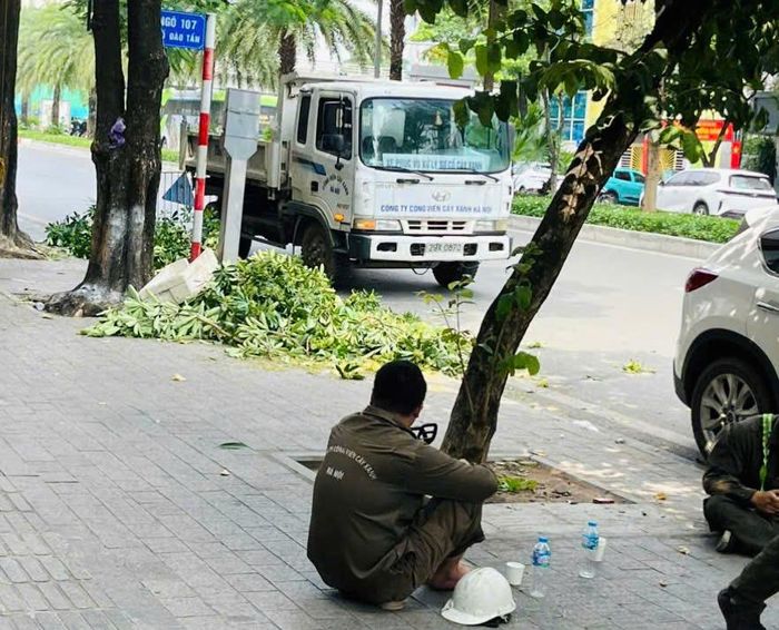 Sau khi cắt tỉa, hoa và cành cây được tập kết để thu gom. Các phương tiện vệ sinh môi trường được điều động phối hợp với lực lượng cây xanh, hạn chế hoa, cành rơi vãi trên mặt đường, bảo đảm vệ sinh và an toàn giao thông trong quá trình thi công.
