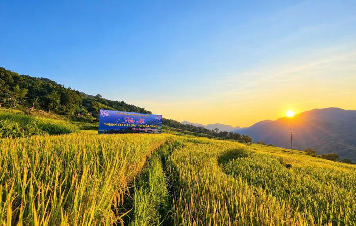 Với diện tích khoảng 80ha, những thửa ruộng bậc thang Hồng Thái vừa cung cấp lương thực cho người dân, vừa tạo nên cảnh quan độc đáo, hấp dẫn du khách đến tham quan, trải nghiệm. Buổi sớm ban mai, ánh nắng len qua màn sương, trải vàng trên những thửa ruộng bậc thang Hồng Thái, tạo nên khung cảnh yên bình nơi rẻo cao.