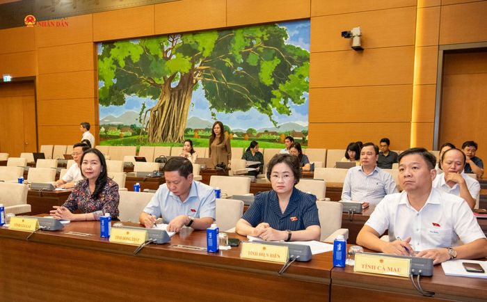 Các đại biểu dự hội nghị