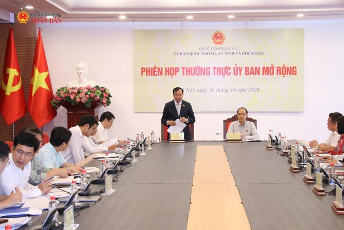 Chủ nhiệm Ủy ban Quốc phòng, An ninh và Đối ngoại, Thượng tướng Lê Tấn Tới phát biểu tại phiên họp. Ảnh: Đắc Trường