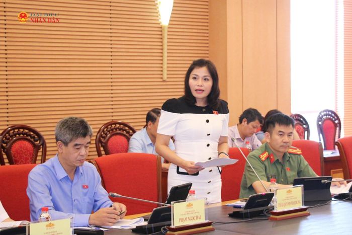 ĐBQH hoạt động chuyên trách tại Ủy ban Quốc phòng, An ninh và Đối ngoại Thái Quỳnh Mai Dung phát biểu tại phiên họp. Ảnh: Đắc Trường