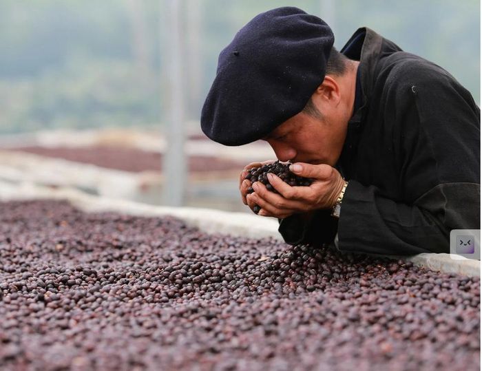 HTX Aratay Coffee chú trọng phát triển sản phẩm chất lượng gắn với du lịch.