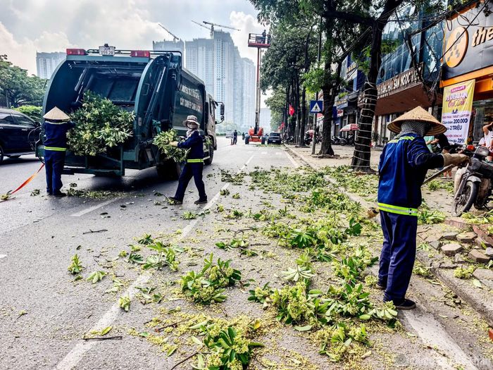 Ông Thắng (trú tại phường Từ Liêm) cho biết, bản thân rất ủng hộ cách làm này của thành phố. Việc cắt tỉa cành hoa như thế này vẫn đảm bảo duy trì cây xanh tại tuyến đường này, vừa hạn chế bớt mùi hoa gây ảnh hưởng tới người dân.