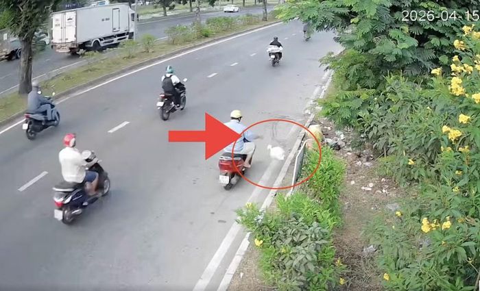 Người đàn ông vừa chạy xe vừa ném bịch rác xuống lề đường.
