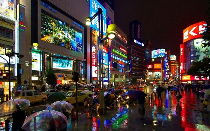 Thủ đô của Nhật Bản trong phim "Lạc lối ở Tokyo" với cảnh quan thành phố rực rỡ ánh đèn neon, văn hóa ẩm thực tuyệt vời, các thiết kế và những khu phố tương phản có sức cuốn hút đầy mê hoặc với khách du lịch. Ảnh: wanderluxe.theluxenomad
