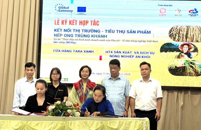Đại diện các nhà phân phối Hà Nội ký kết tiêu thụ sản phẩm nếp Ong với Hợp tác xã sản xuất và dịch vụ nông nghiệp An Khôi, xã Trùng Khánh.