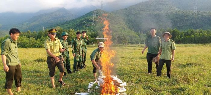 Xử lý tiêu hủy các phương tiện, dụng cụ dùng để bẫy bắt chim trời