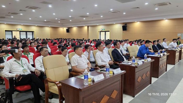 Các đại biểu tham dự chương trình