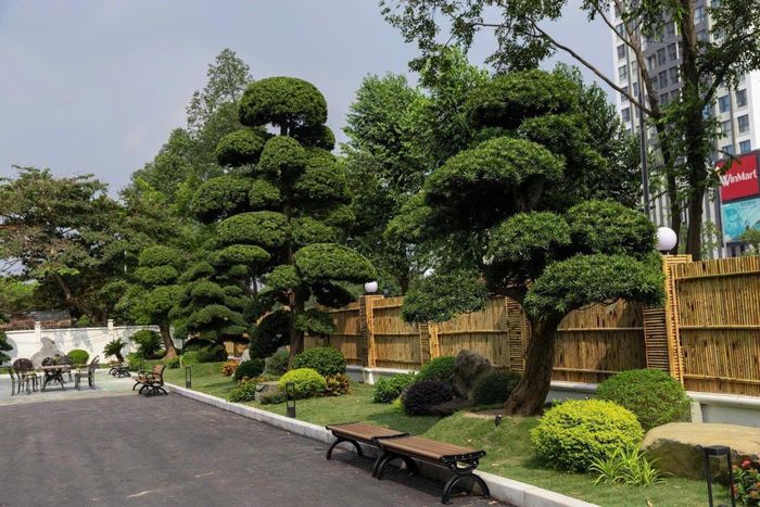 Bên trong khuôn viên trụ sở Hội Doanh nhân trẻ TP Bắc Ninh