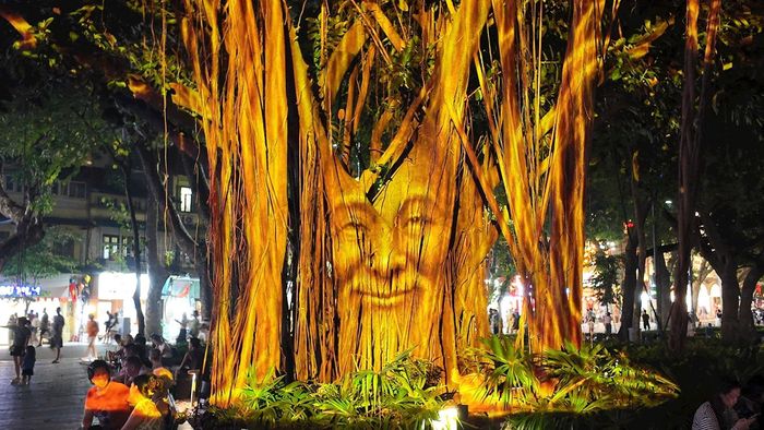 Thông qua công nghệ 3D Mapping với hiệu ứng ánh sáng chuyển động, cây đa dường như được đánh thức, chuyển mình và cất lên câu chuyện của riêng mình. Ảnh: H.L