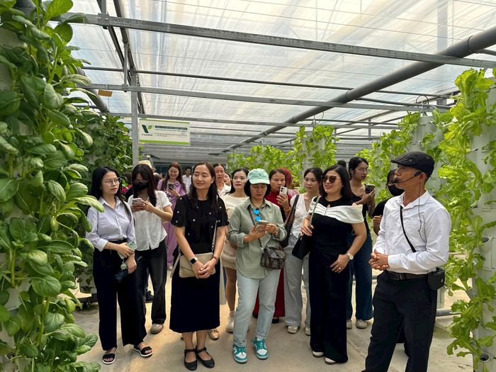 Trải nghiệm vườn rau thủy sinh công nghệ cao. Ảnh: Hoàng Lân