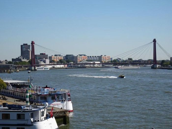 Cầu Willemsbrug bắc qua sông Nieuwe Maas tại Rotterdam (Hà Lan). Ảnh: Pexels