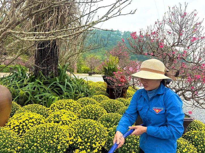 Ngày càng nhiều phụ nữ tham gia vào nông nghiệp công nghệ cao. Ảnh: Kiều Thoan Thu 