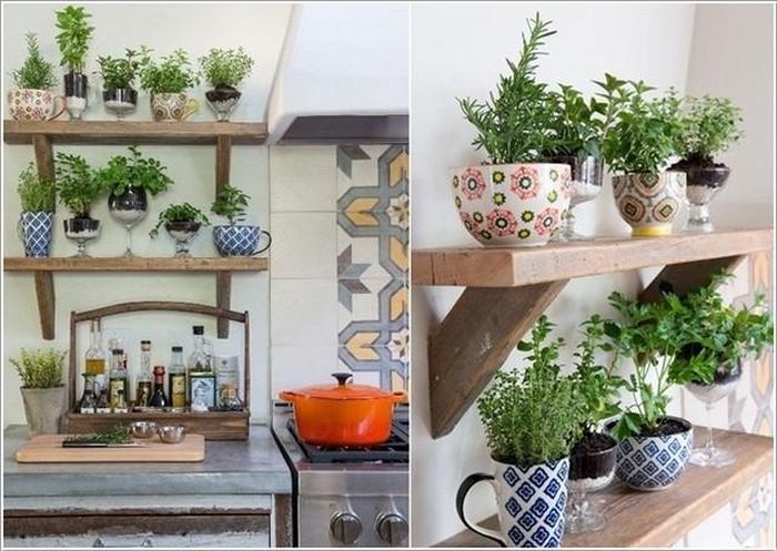 Việc bố trí cây phong thủy nhà bếp một cách hợp lý không chỉ giúp không gian xanh mát hơn mà còn mang đến sinh khí, xua tan khí xấu và kích hoạt may mắn trong ngôi nhà.