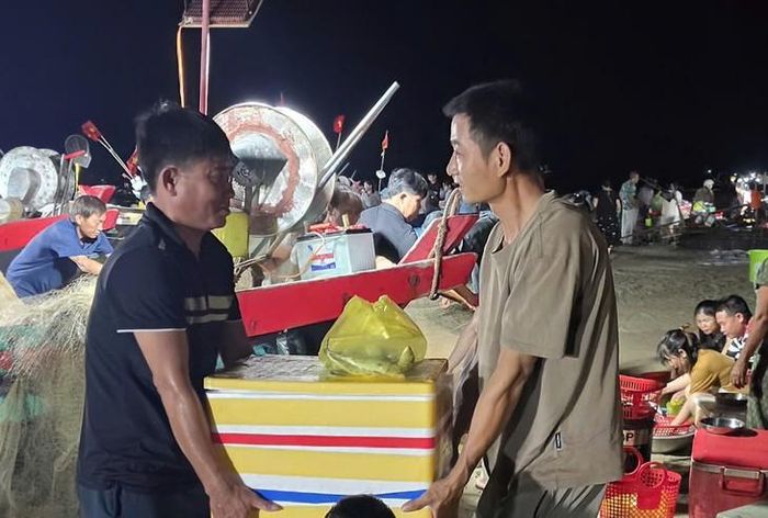 Cá bạc má đang được các thương lái lựa chọn thu mua vì thịt ngọt, giàu chất dinh dưỡng, thị trường ưa chuộng. Ảnh: K.T.