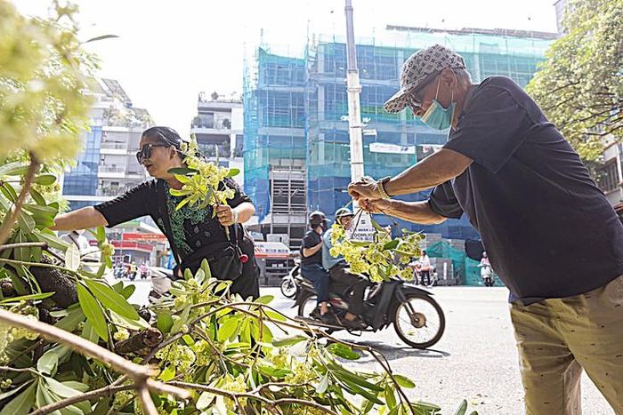 Một số người dân tranh thủ nhặt những cành hoa đẹp mang về cắm. (Ảnh Minh Đức)