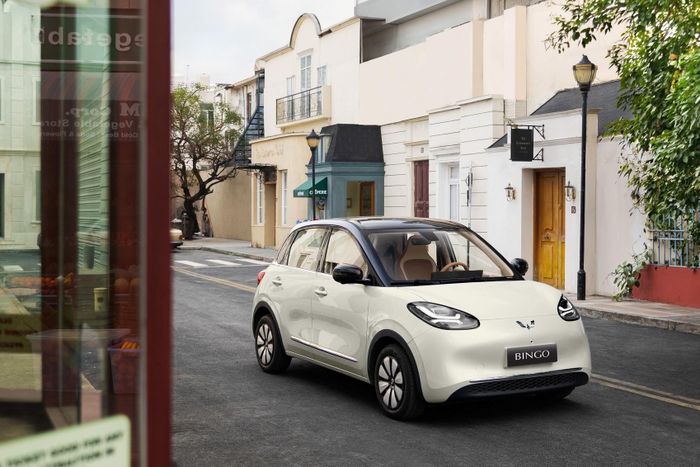 Wuling Mini EV Macaron và Wuling Bingo sử dụng cổng sạc chuẩn CCS2. Ảnh: Wuling.