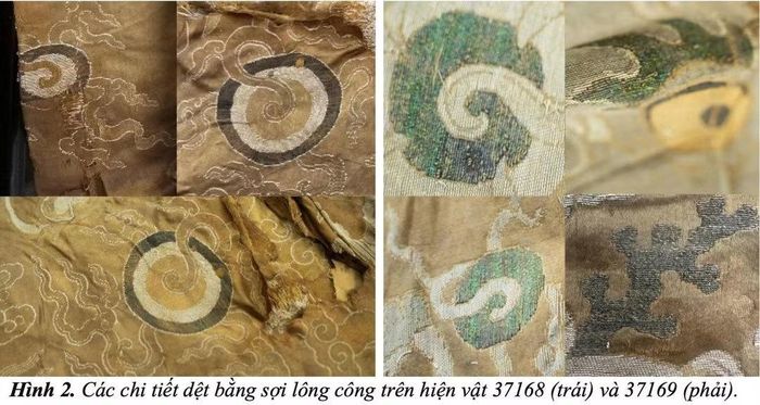 Các chi tiết dệt bằng sợi lông công trên long bào vua Lê Dụ Tông. Ảnh: Nhóm nghiên cứu.