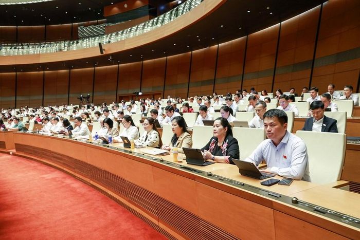 Các đại biểu dự phiên họp