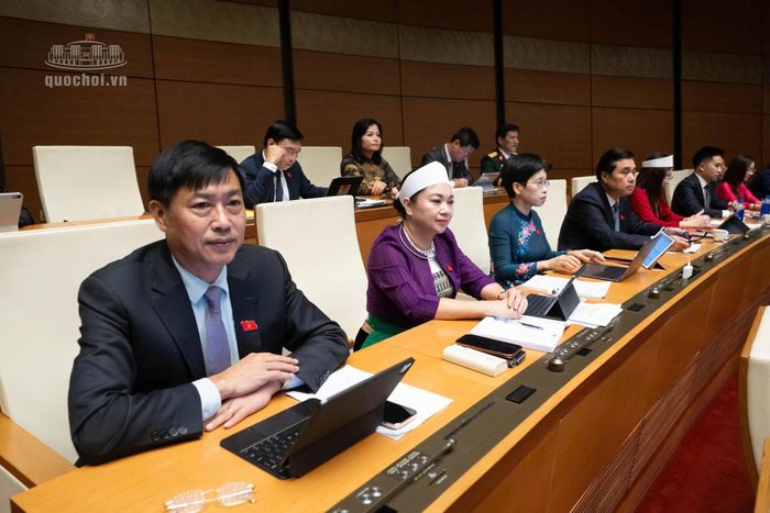 Các đại biểu tham dự Phiên họp