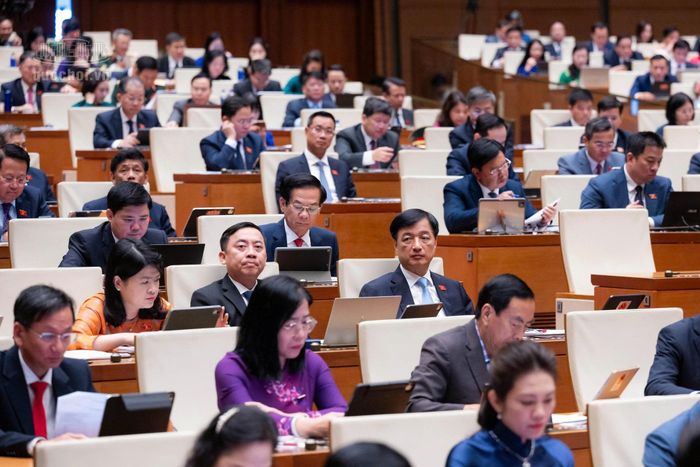 Các đại biểu tham dự Phiên họp