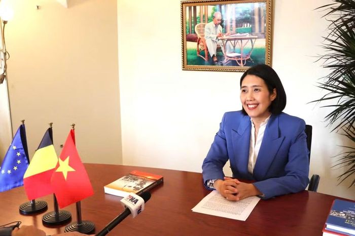 Đại sứ Nguyễn Hương Trà, Đại sứ Việt Nam tại Vương quốc Bỉ, Trưởng Phái đoàn Việt Nam bên cạnh Liên minh châu Âu. (Ảnh: Đại sứ quán Việt Nam tại Bỉ).