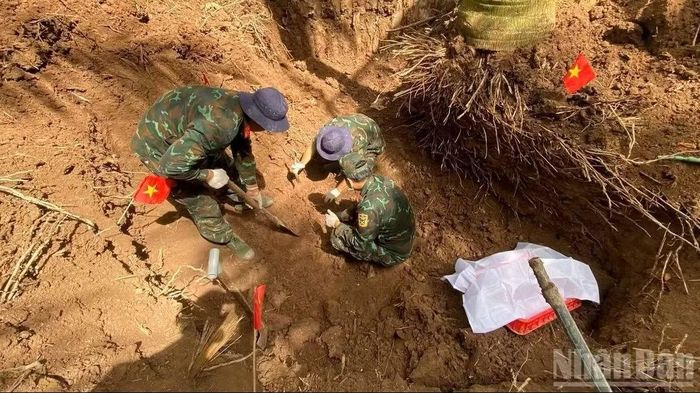 Cán bộ, chiến sĩ Đội K91 khai quật, tìm kiếm hài cốt liệt sĩ tại vườn dừa của hộ dân (Nghĩa trang Cả Cái cũ), ấp Cả Cái, xã Tân Thành, tỉnh Đồng Tháp. (Ảnh: CHÍ PHÚC)
