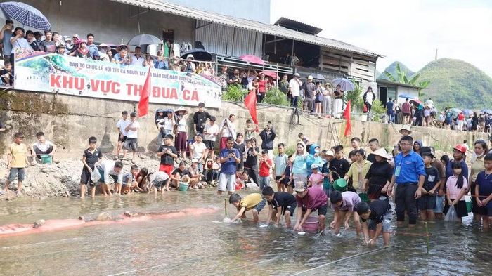 Đua cá là một trong những hoạt động đặc sắc trong Lễ hội Tết cá của người Tày ở xã Mậu Duệ, tỉnh Tuyên Quang. (Ảnh: KHÁNH TOÀN)