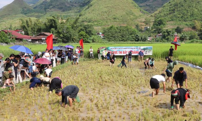 Lễ hội Tết cá năm 2026 diễn ra với nhiều hoạt động văn hóa, trò chơi dân gian và trải nghiệm ẩm thực truyền thống. (Ảnh: KHÁNH TOÀN)