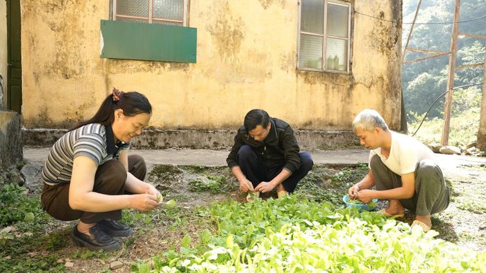 Các thầy, cô giáo trồng rau trong khuôn viên Trạm Kiểm soát Biên phòng Xín Cái để cải thiện đời sống nơi biên cương gian khó. 