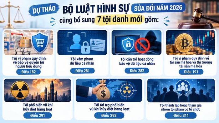 Dự thảo Bộ Luật Hình sự (sửa đổi) bổ sung 7 tội danh mới. Ảnh: chinhphu.vn