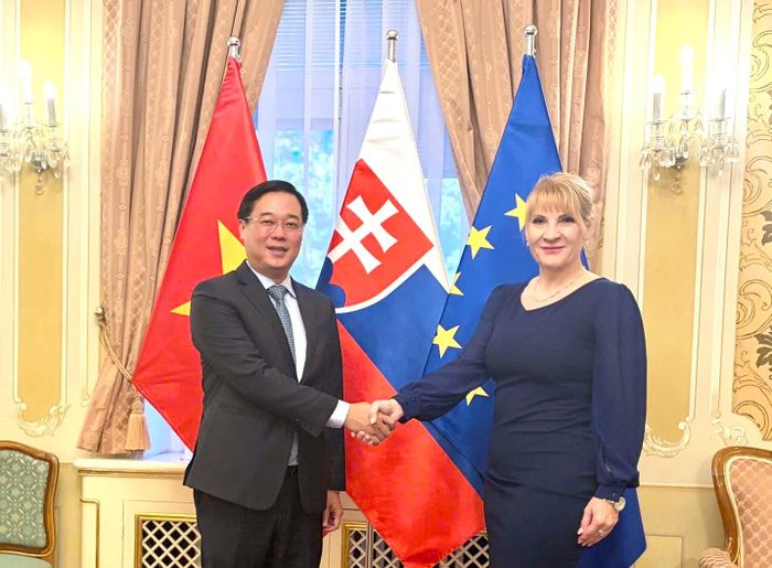  Phó Bí thư Thường trực Thành ủy TPHCM Lê Quốc Phong có buổi làm việc với Tổng Giám đốc Ban An ninh Nhà nước và Phòng chống tham nhũng Andrea Pobocik. Ảnh: MINH QUẾ 