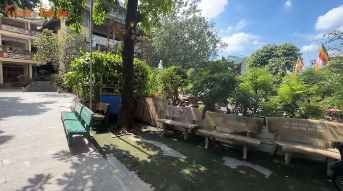Ghế đá trong khuôn viên chùa Diệu Giác, nơi 4 cháu nhỏ bị người thân bỏ lại.