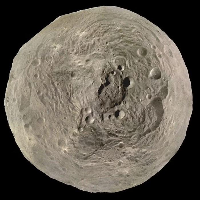Ảnh: scientificamerican.com