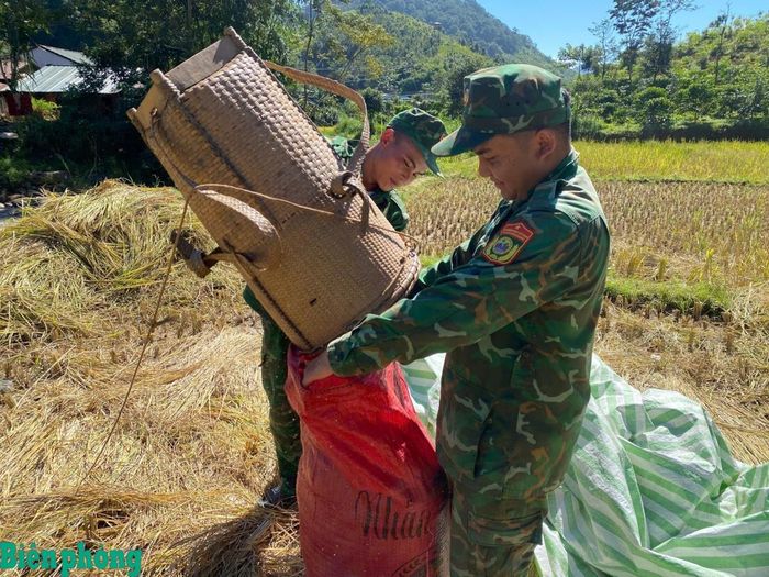 Cán bộ, chiến sĩ đơn vị gặt, tuốt lúa và vận chuyển về tận nhà cho bà Y Kluc. Ảnh: Đơn vị cung cấp