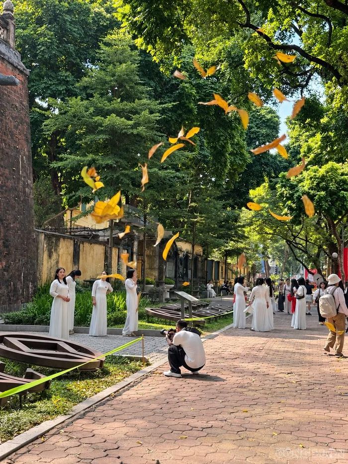 Kiến trúc Bắc Môn, tà áo dài và sắc lá vàng tạo nên sự giao thoa giữa dấu ấn phố cũ với nhịp sống của người trẻ. Ảnh Diệu Linh