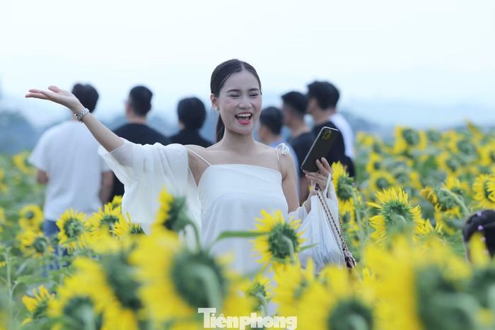 Cánh đồng hoa nhanh chóng trở thành điểm hẹn thu hút đông đảo người dân và du khách. Từng nhóm bạn trẻ, gia đình cùng nhau dạo bước giữa cánh đồng hoa, lựa chọn góc chụp đẹp để lưu lại khoảnh khắc đáng nhớ.